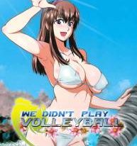 12031