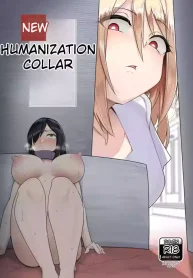 27906