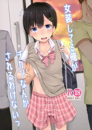 Molested On The Train