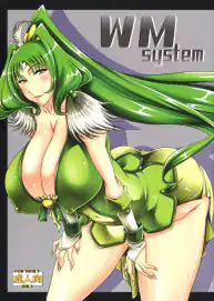 WM System