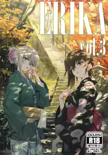 ERIKA Vol 3