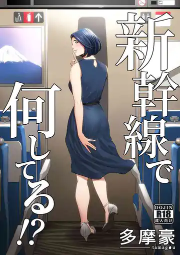 Shinkansen de Nani shiteru!