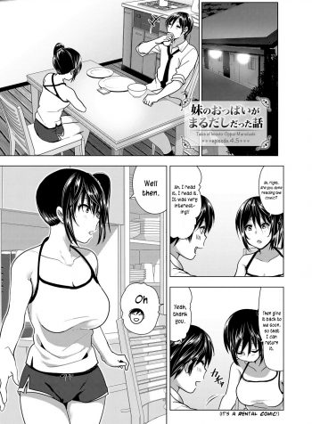 Imouto no Oppai ga Marudashi Datta Hanashi 4.5