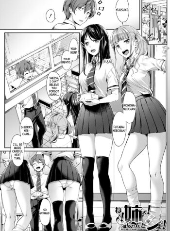 Nee! Nee! Chantoshiyo!