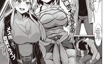 24267