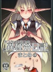 Dosukebe Elf no Ishukan Nikki Matome 1