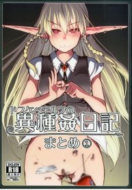 Dosukebe Elf no Ishukan Nikki Matome 1