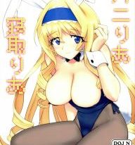 (C85) [Terikoya (Buri)] Baniria Netoria (IS <Infinite Stratos>)